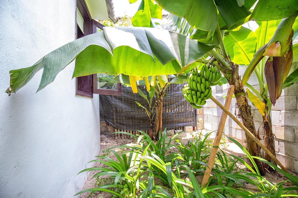 Red Flower Cottages Homestay Hoi An Luaran gambar